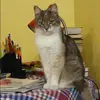 Отзыв от Евгения Уварова